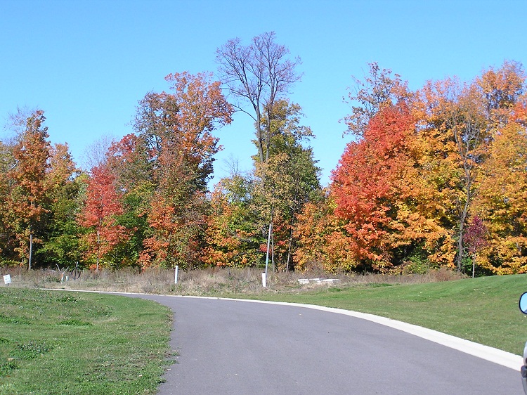 Briarwood Estates Gerber Homes ster NY New Homes