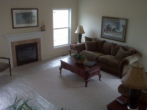 Living room with fireplace in Rochester area home