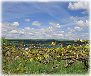 Living in the Finger Lakes Region a place for all seasons
