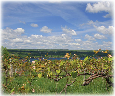 Living in the Finger Lakes Region a place for all seasons