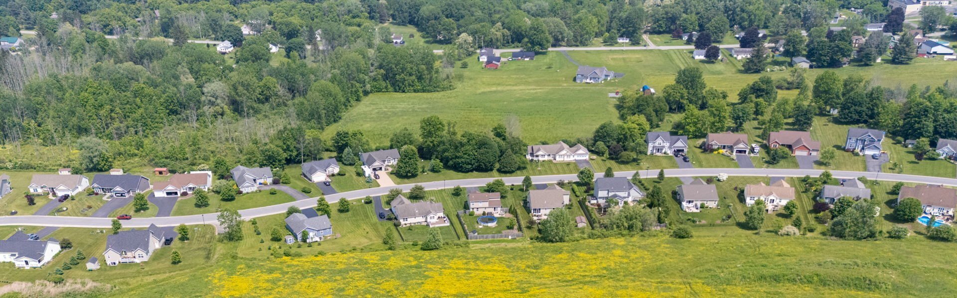 Aerial view of a wide meadow filled with yellow wildflowers behind a row of suburban homes and tree line in Greater Rochester (1)