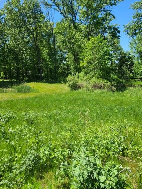 Available Lot for Custom Homes in Monroe County, New York