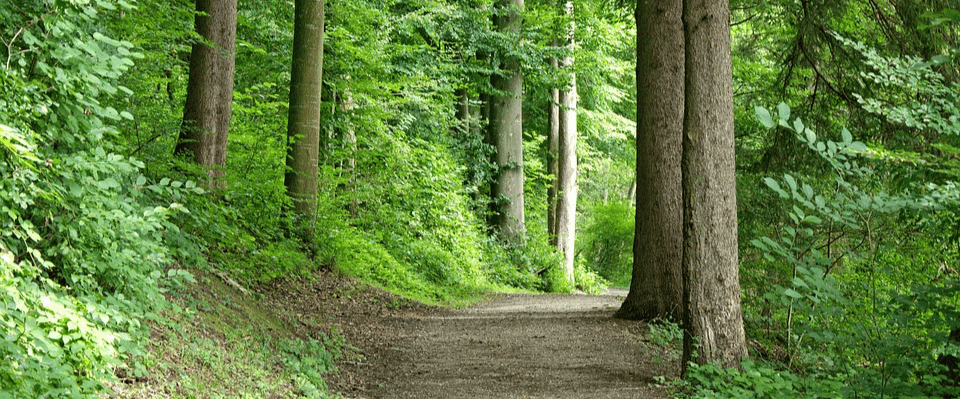 Park in Briarwood Estates in Webster NY 