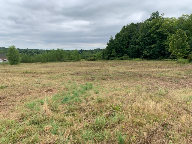 Orchard View Estates Walworth NY Gerber Homes