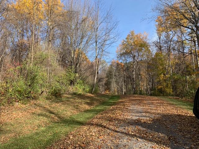 New Home Community Lots in Walworth, NY