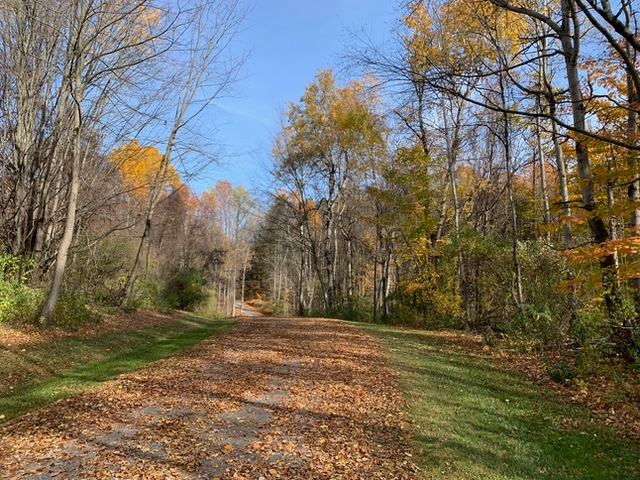 Custom Home Lots Available in Wayne County, New York