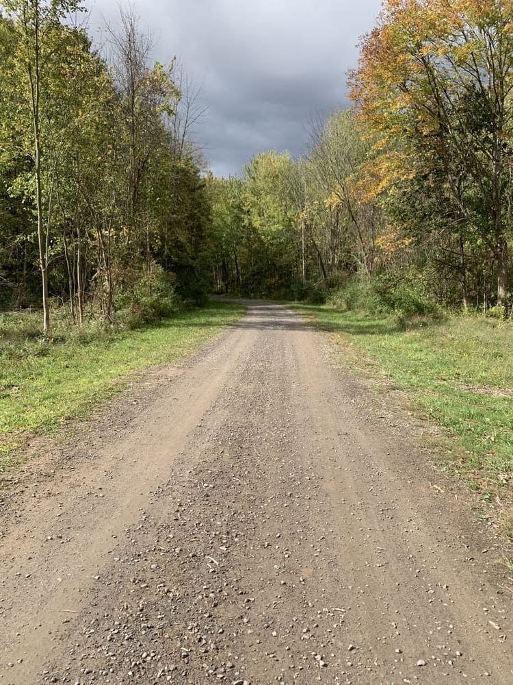 Road down Ontario Center custom home community in greater Rochester, NY