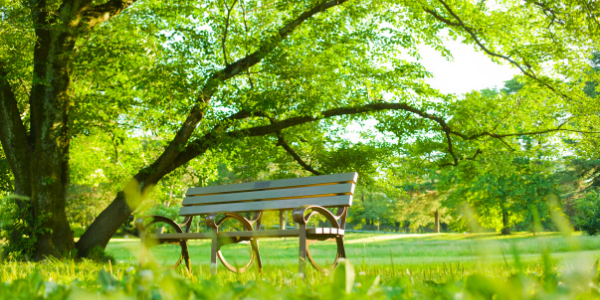 Perinton NY park bench