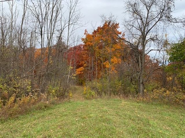 Canandaigua Foster Road Land for Sale
