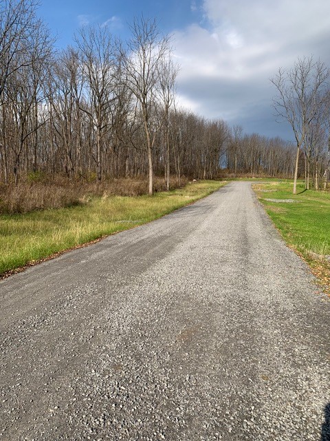 Road down Scout Path new home community on sunny day