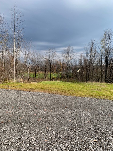 Scout Path new home community land space on cloudy day