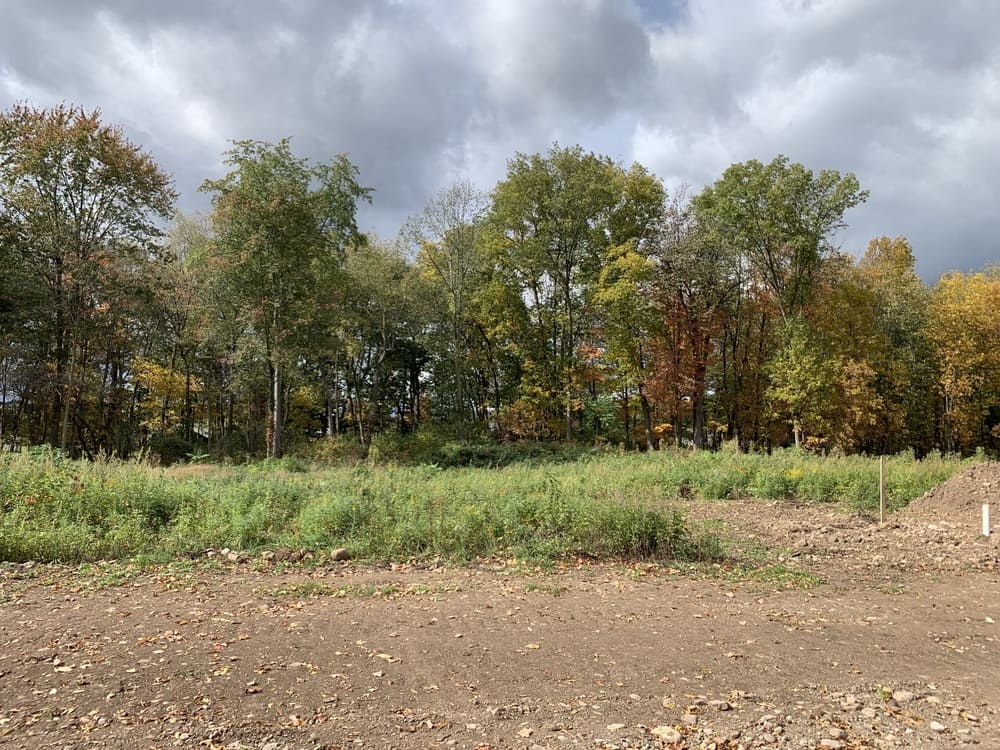 Trees in Drumlin Drive custom home community in Macedon, NY 