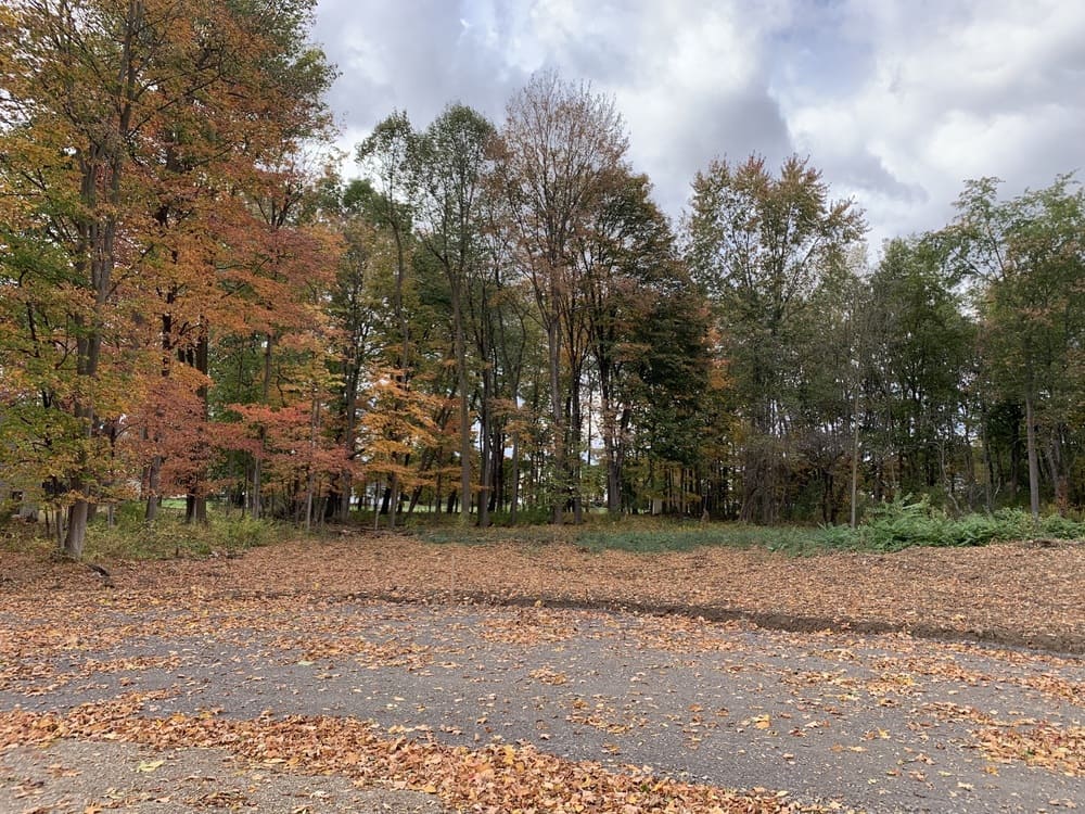 View of trees in fall in Drumlin Drive new home community in Macedon, NY