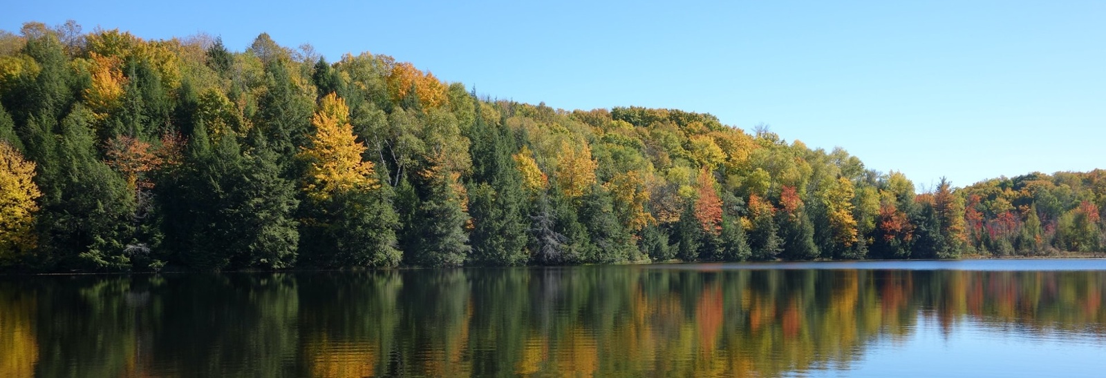 calm lake with fall leaves on the trees-1