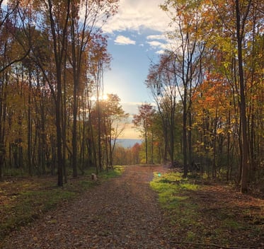 fall driveway-1