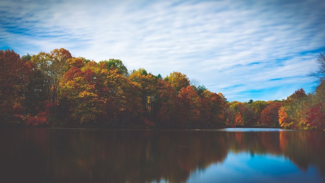 fall-lake-trees
