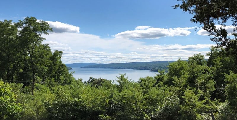 Finger Lakes scenic view of trees and water on sunny day