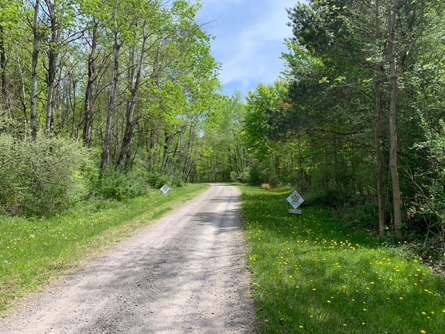 gravel-road-between-trees-ontario-center-rd-walworth-new-york