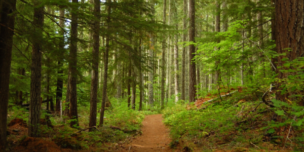 hiking trails in webster ny