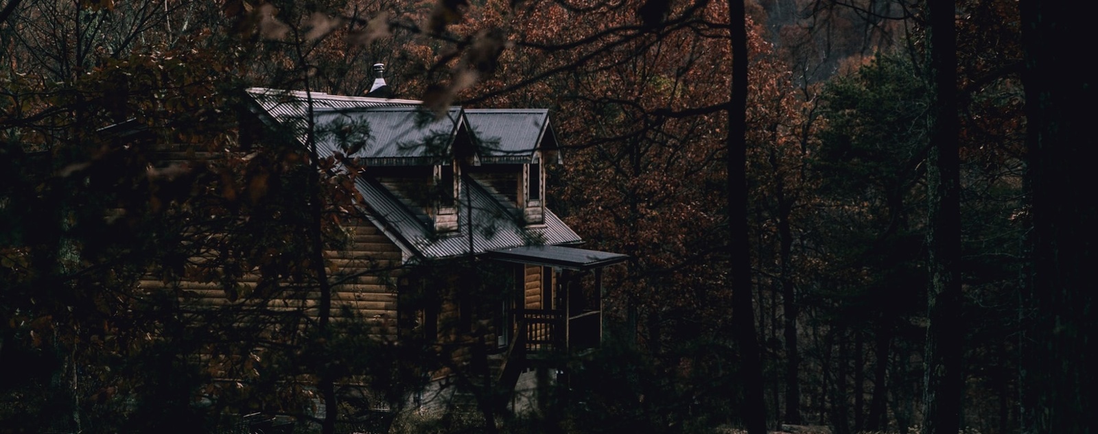 home in the woods looking through trees-1