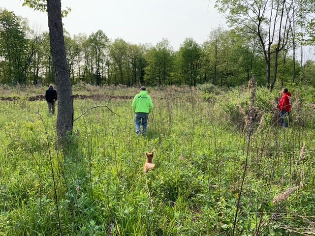 View of land for custom home building on Drumlin Drive in Macedon