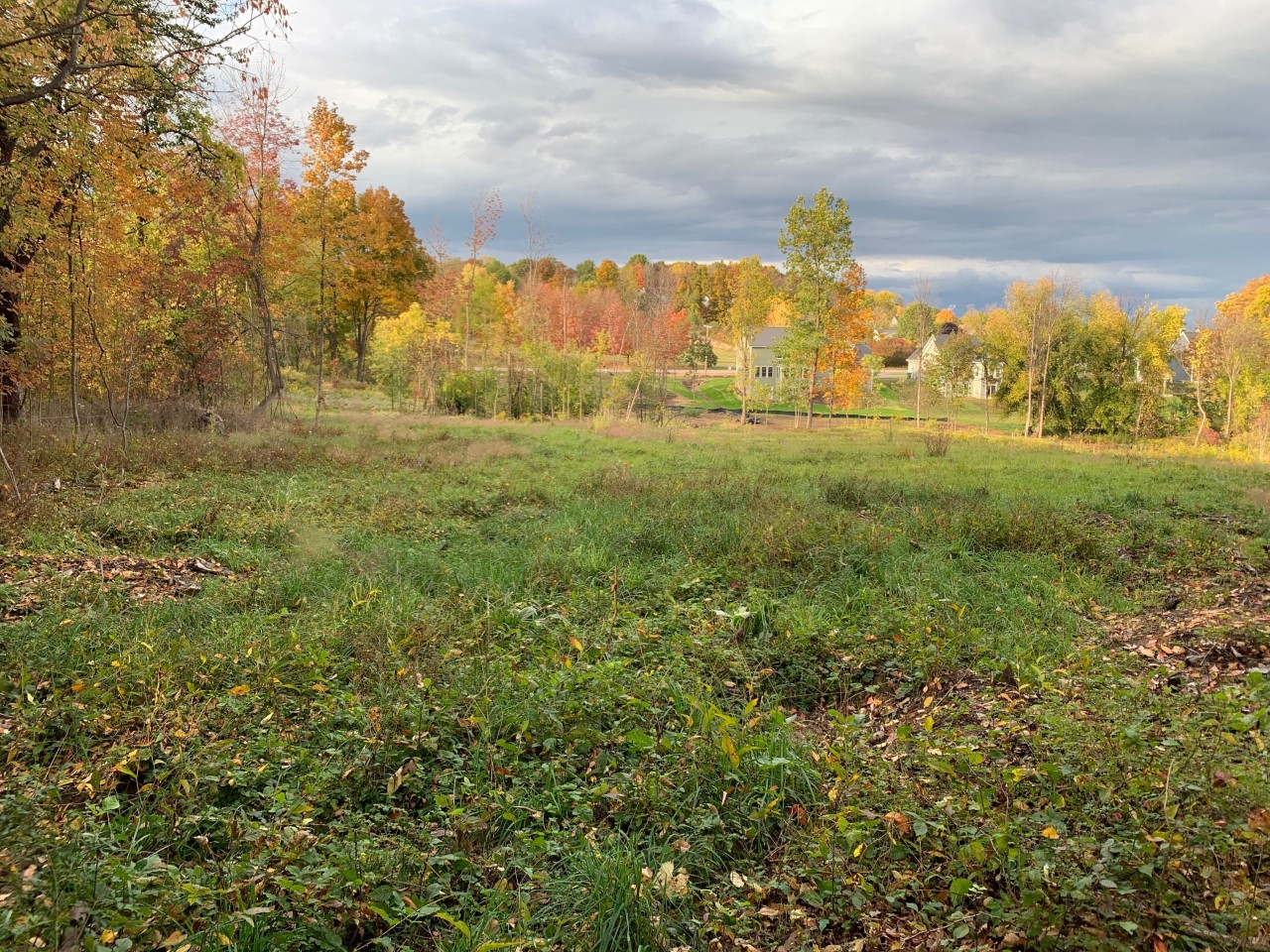 Scout Reserve in Victor, NY Gerber Homes